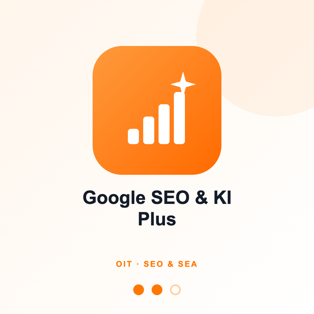 Google SEO & KI-Auswertung Plus [m]